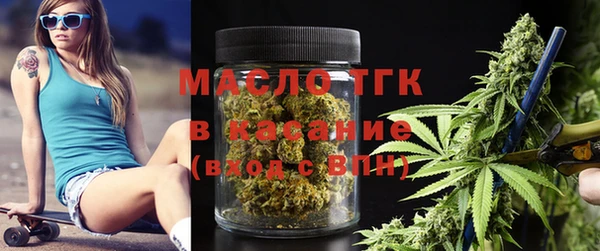 индика Заводоуковск